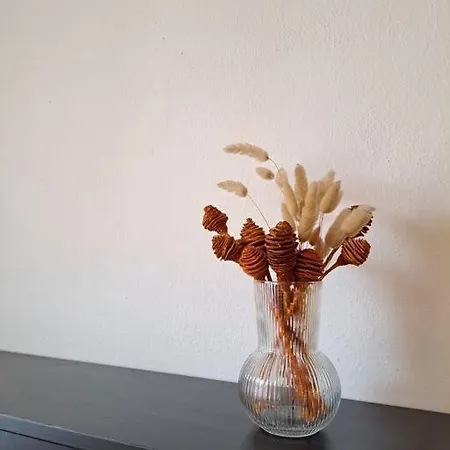 Lägenhet U Centra Ceske Budejovice