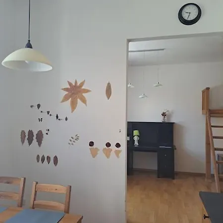 U Centra Lägenhet Ceske Budejovice