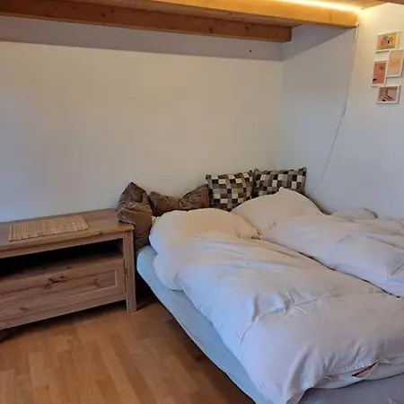 Daire U Centra Ceske Budejovice